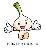 PIONEER GARLIC GROUP