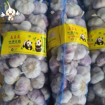 2022 China fresh garlic 5-6 cm normal white garlic wholesale natural garlic