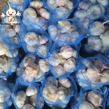 2022Chinese fresh garlic in cold storage of garlic export pure white normal white garlic