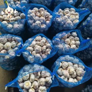 2022 China Best Wholesale Fresh Garlic Price -new crop, high quality for export