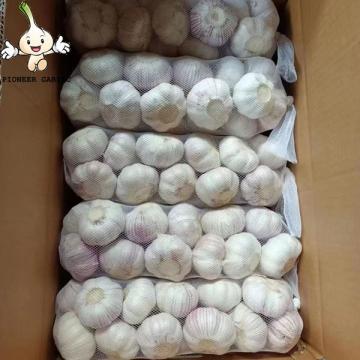 2022 China Best Wholesale Fresh Garlic Price -new crop, high quality for export