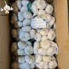 Low Price chinese garlic White Bag new Crop Food Newest Package garlic top quality fresh