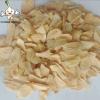 80-100-120 mesh Premium AD Garlic Powder in bulk packing garlic powder extracts