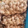 2022 new crop Fresh garlic seeds 10kg mesh bag Garlic with root
