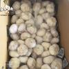Low Price chinese garlic White Bag new Crop Food Newest Package garlic top quality fresh