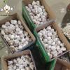 Wholesale 2022 new fresh garlic supplier normal white garlic