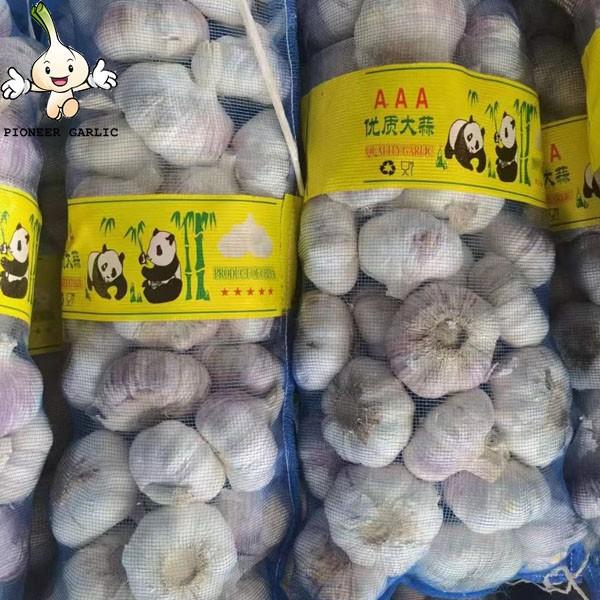 2022Chinese fresh garlic in cold storage of garlic export pure white normal white garlic