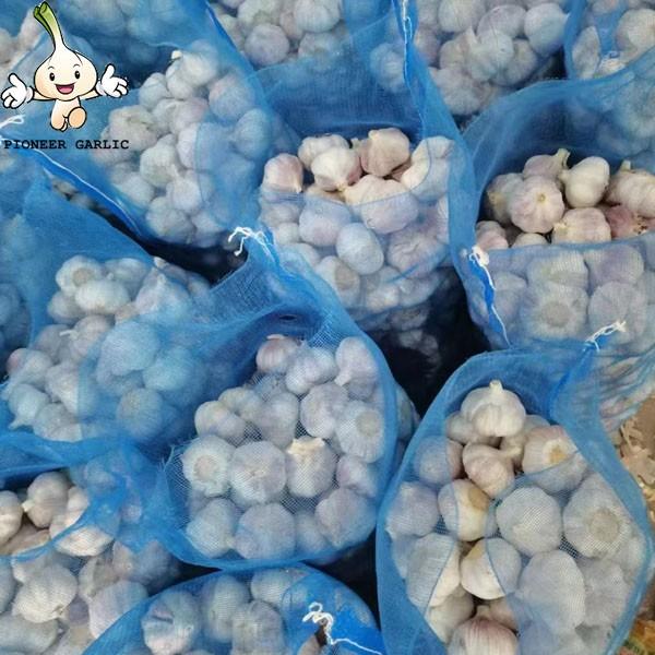Fresh Garlic Weight Origin Type Size Product Fresh Place Cultivation Common Certification